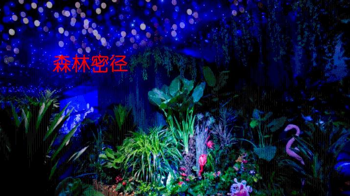 如何看小数点后面的数字?-你的专业问答社区